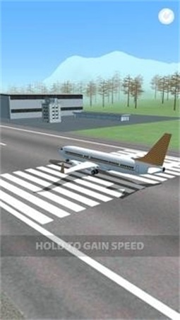 飞机失事3D正版下载安装