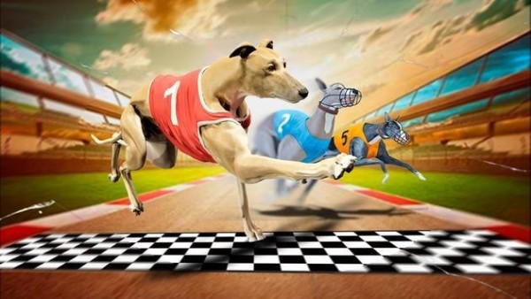 狗疯狂竞赛模拟器正版下载安装