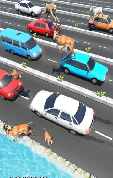 公路上的动物正版下载安装