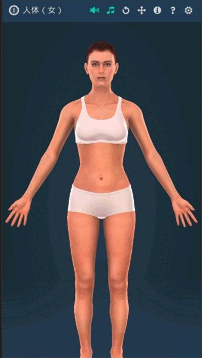 人体系统女性3D正版下载安装