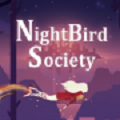 夜鸟社会
