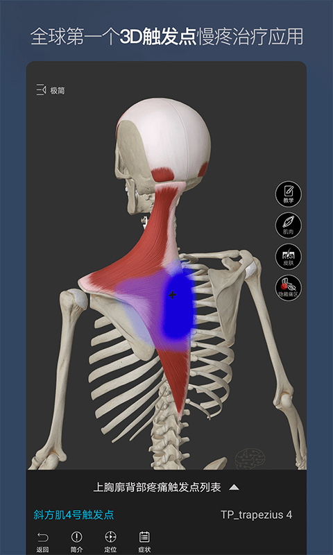 维萨里3D解剖正版下载安装