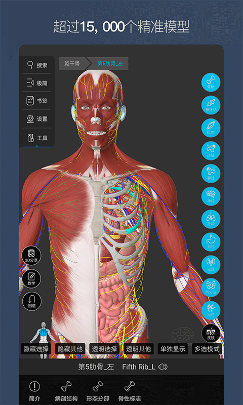 维萨里3D解剖正版下载安装